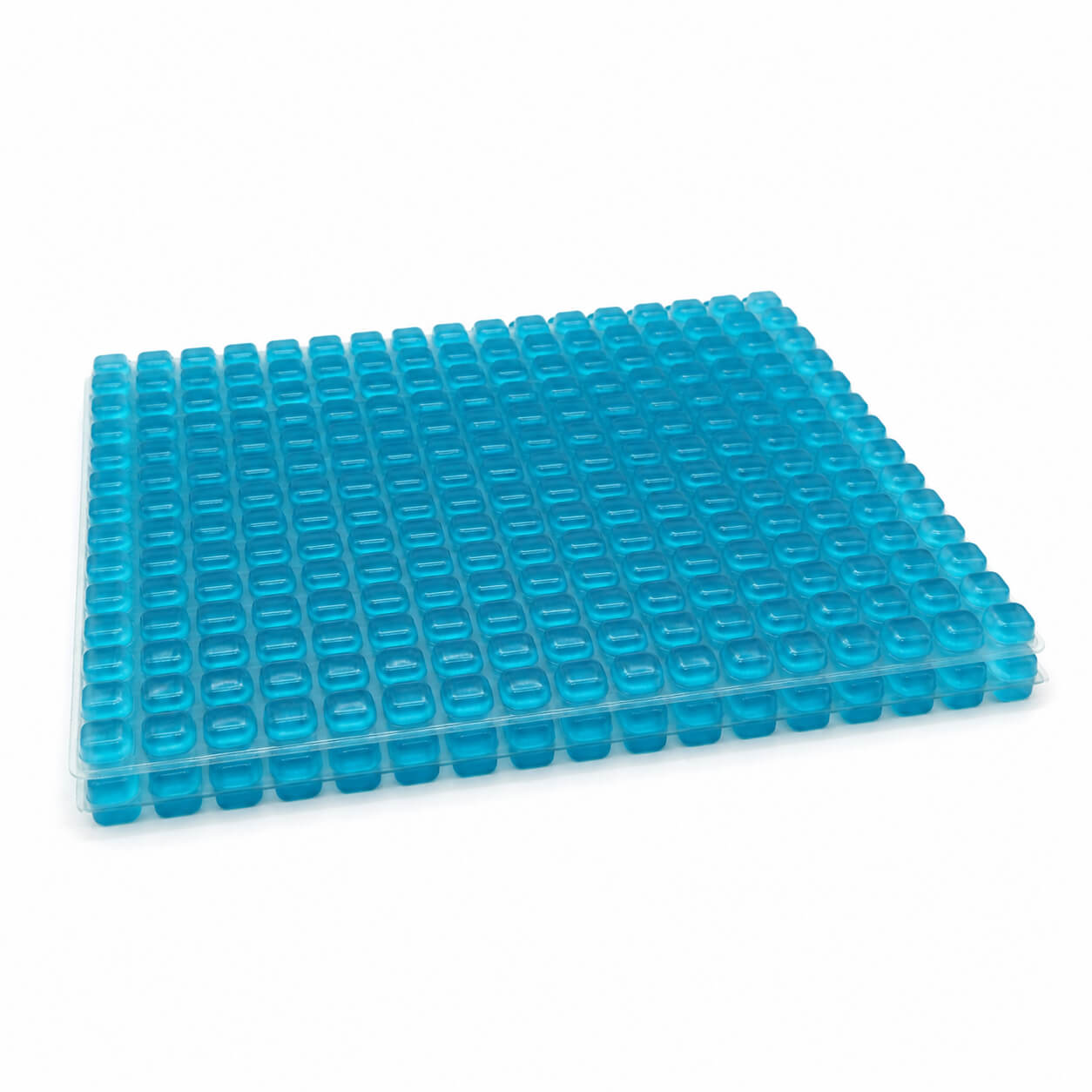 Textured Gel Positioning Body Pad — EG-220 packed